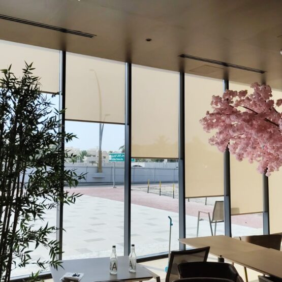 WhatsApp Image 2025-09-23 at 10.35.55 AM