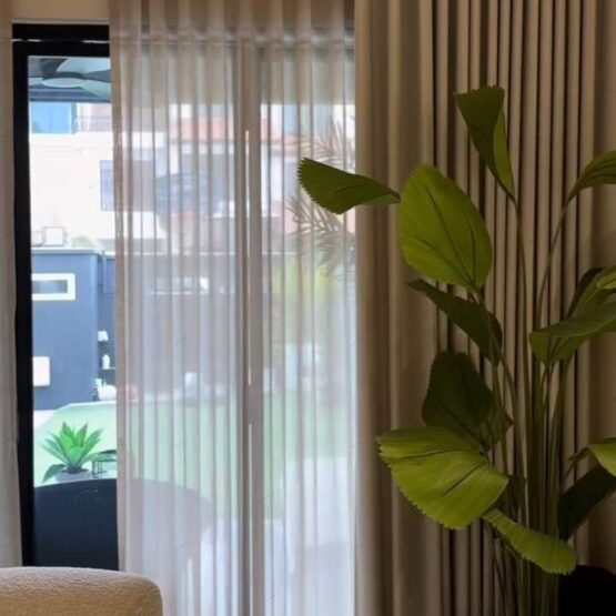 WhatsApp Image 2025-09-23 at 10.36.01 AM